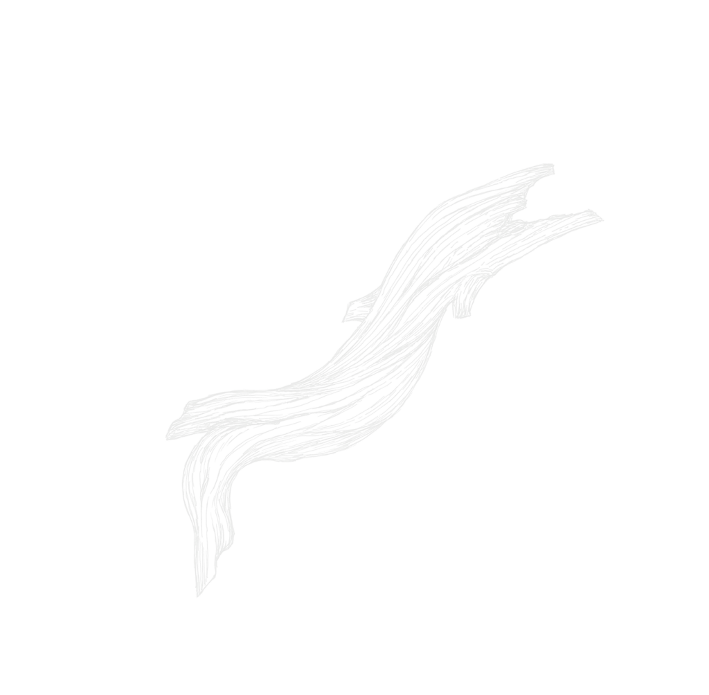 流木のあしらい_1