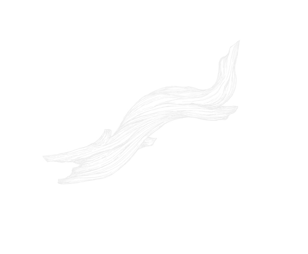 流木のあしらい_2